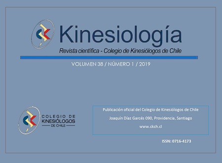 Directora de Investigación y Doctorados integra comité técnico de la Revista Chilena de Kinesiología