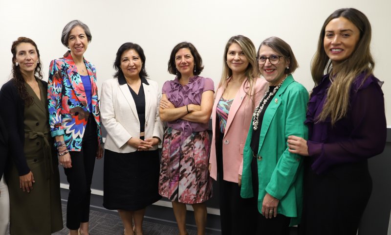 Académicas y académicos UGM participaron en conversatorio CUP sobre sesgos de género en la academia con exposición de ministra Aisén Etcheverry