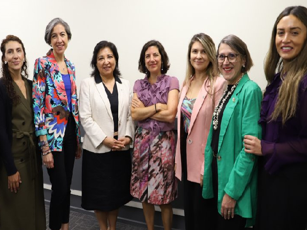 Académicas y académicos UGM participaron en conversatorio CUP sobre sesgos de género en la academia con exposición de ministra Aisén Etcheverry