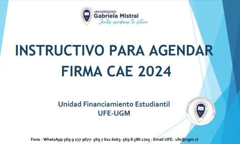 Instructivo Firma CAE